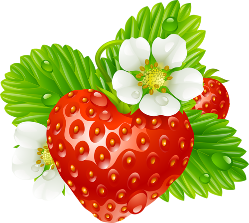 Vector Strawberry In The Shape Of Heart And White Flowers - Клипарт Клубника На Прозрачном Фоне (500x447)