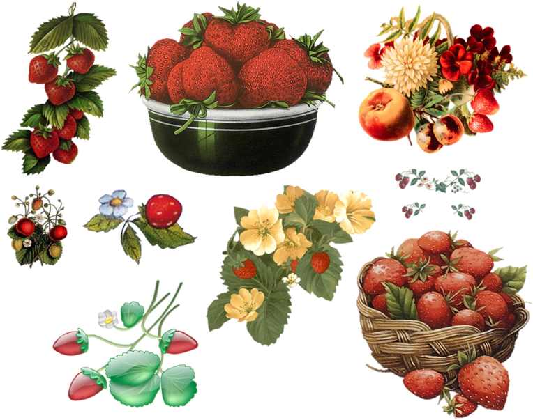 Strawberry Clip Art - Strawberry Clip Art (800x628)