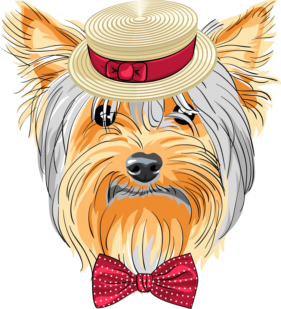 Roseville Yorkie Dog, Yorkshire Terrier - Art Print: Volha's Vector Funny Cartoon Hipster Dog (934x1024)
