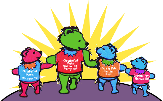 Dog Grooming In Charlotte Nc - North Carolina (550x342)