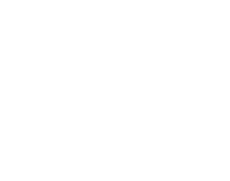 Noble Dog Hotel - The Noble Dog Hotel (800x630)