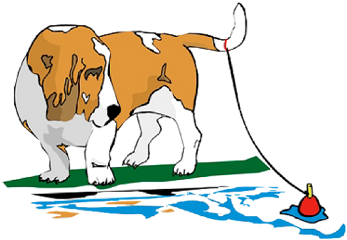 Creekside Kennels Inc - Creekside Kennels, Inc. (494x349)