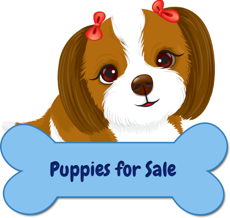Beautiful Puppy Grooming Salon & Boutique Professional - Large Wallpaper For Girl Room (472x449)