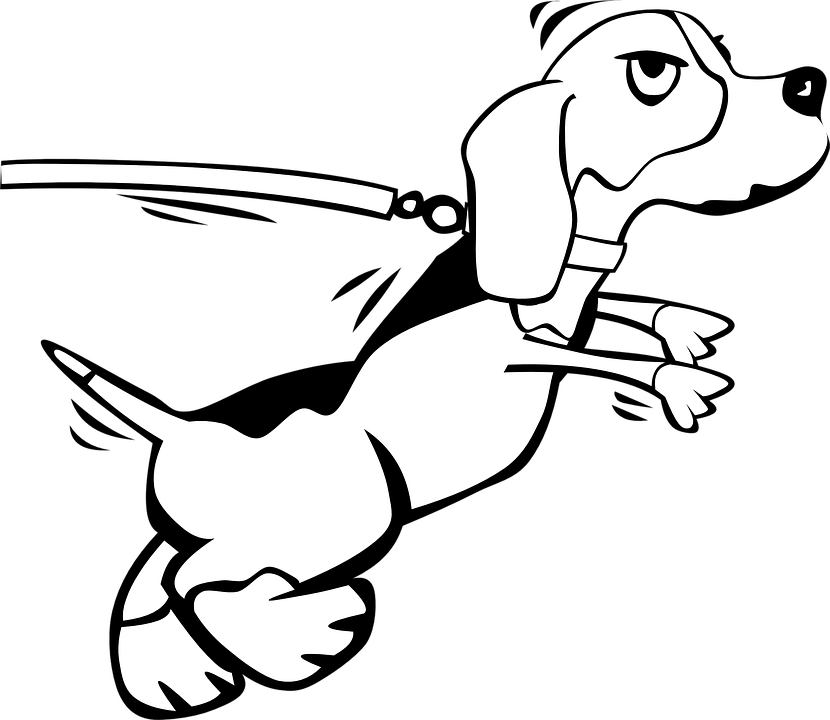 Pet Leash - Cartoon Dog On A Leash (830x720)