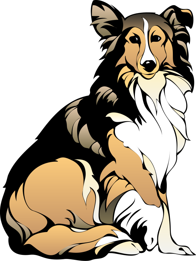 Collie Clipart Png File Tag List, Collie Clip Arts - Lad: A Dog [book] (677x900)