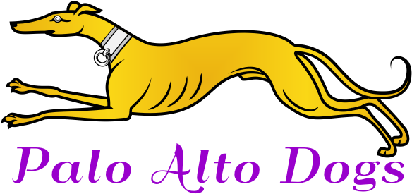 Making The Most Of Life With Your Dog Here In Palo - Palo Alto (600x285)