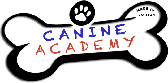 The Canine Academy - Dog (550x275)