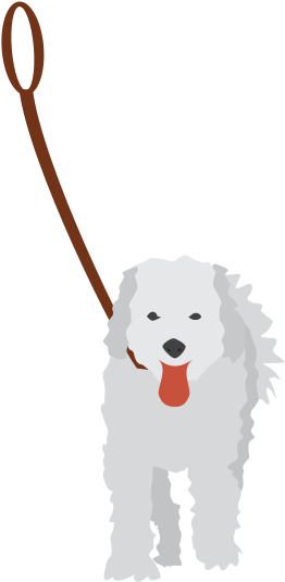 Dog On Leash Shower Curtain (800x800)
