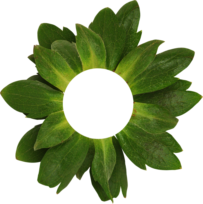 Musk Strawberry Picture Frames Clip Art - Musk Strawberry Picture Frames Clip Art (700x703)