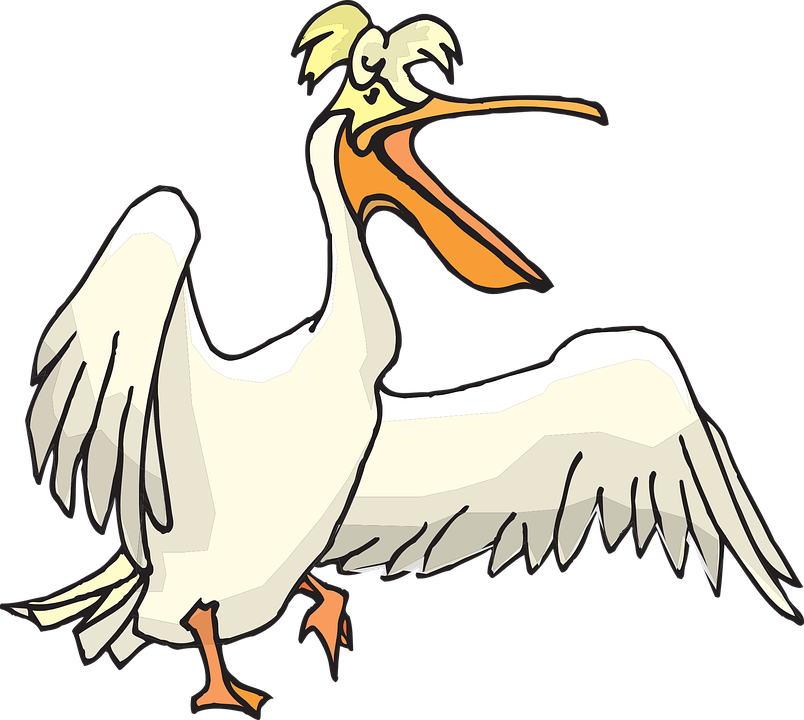 Pelican Clip Art - Pelican Clipart Png (804x720)
