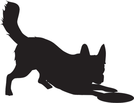 Off Leash Training - Border Collie Silhouette Free (500x502)