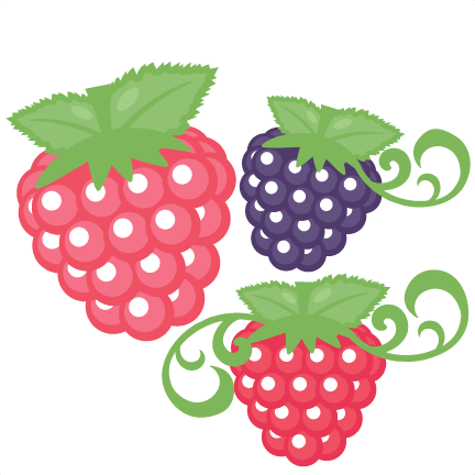 Blackberry Clipart Raspberry Pencil And In Color Blackberry - Raspberry Svg (432x432)