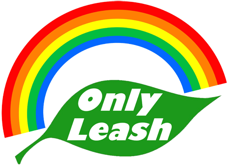 Dog Leash Best Only Leash Nylon Elastic Bungee Dog - Leash (480x337)