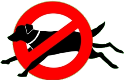 Stop Sefton Banning Off Lead Exercise For Dogs - Metropolitan Borough Of Sefton (425x300)