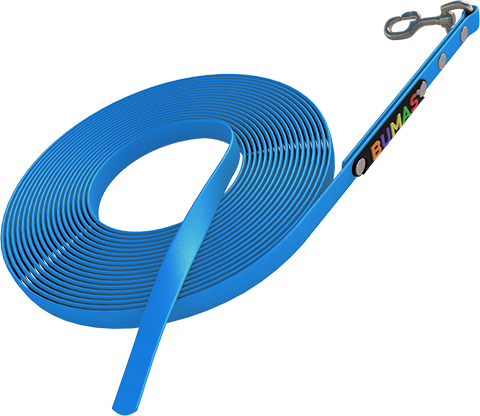 "the Walk With Your Dog Is The Base For A Good Relationship - Field Lacrosse (480x416)