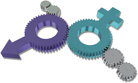 Open Gender And Vulnerable Populations - Gear (500x310)