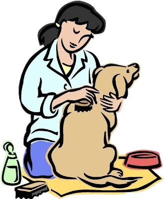 Animal Grooming Cartoon Animals Homepage - Taking Care Of Animals (400x400)