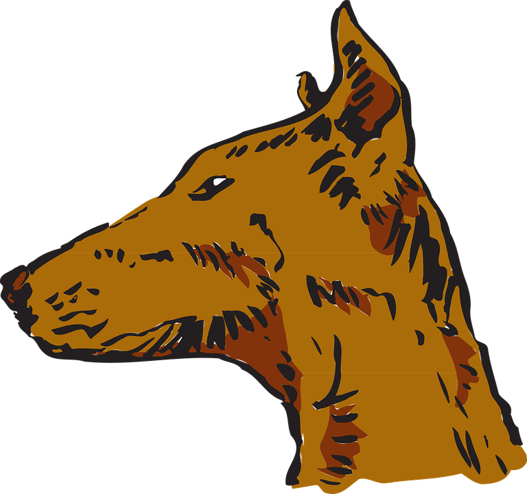 Pets Clipart Animal Fur - Side View Of Dog Head (768x720)