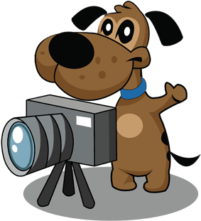 Home Dog Boarding In Chester - Cartoon (453x345)