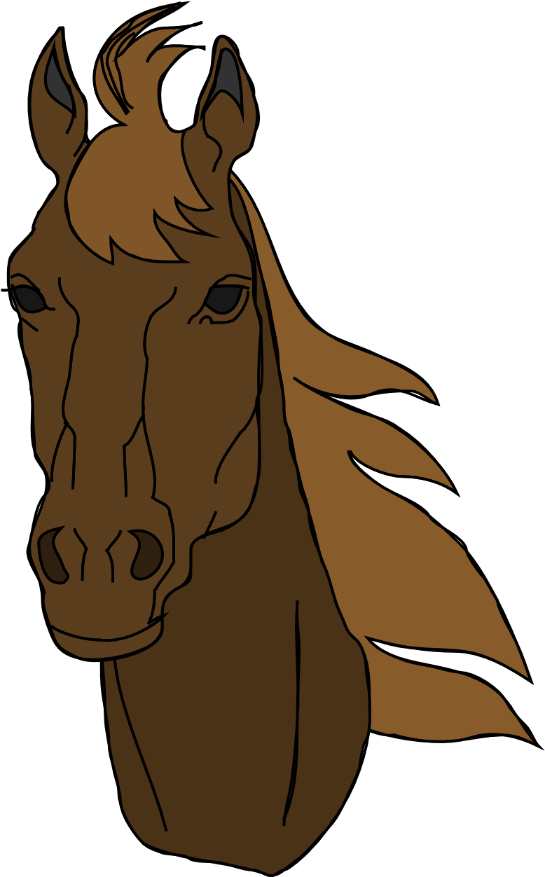 Horse Face 2376 Large - Horse Head Clip Art (800x1271)
