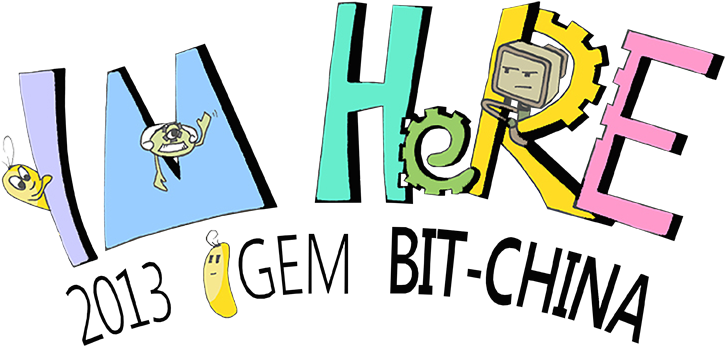 Bit-china Is Founded In 28th Feb And Our Slogan Is - International Genetically Engineered Machine (765x454)