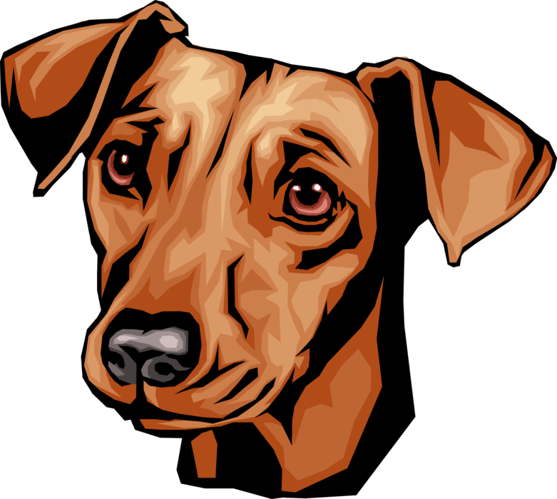 Vector Illustration Of Cute Dachshund Dog Head - Dachshund Cute Vector Head (781x700)