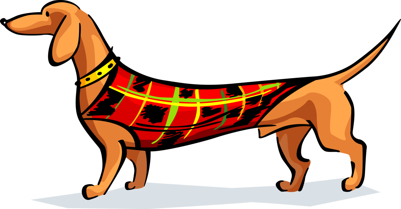 Vector Illustration Of Dachshund Wiener Or Sausage - Vector Illustration Of Dachshund Wiener Or Sausage (1342x700)