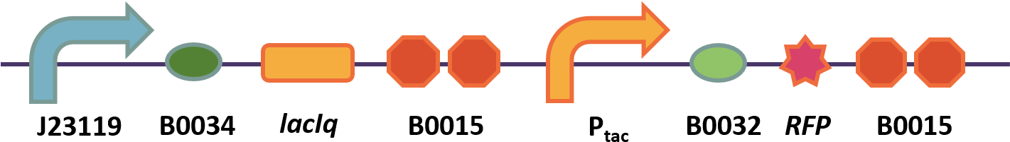 5 The Circuit Constructed By Bit-china - Diagram (1430x241)
