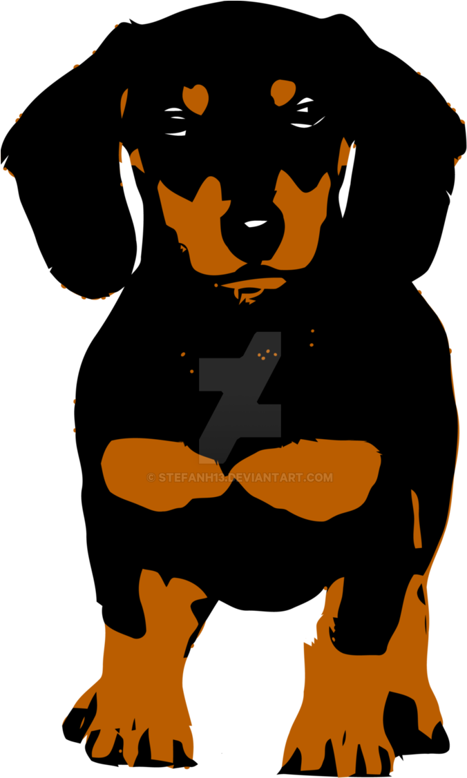 The Dachshund By Stefanh13 - Dachshund (693x1151)