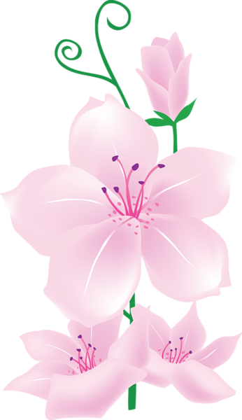Light Pink Flowers Clipart - Pink Lily Flower Png (346x600)