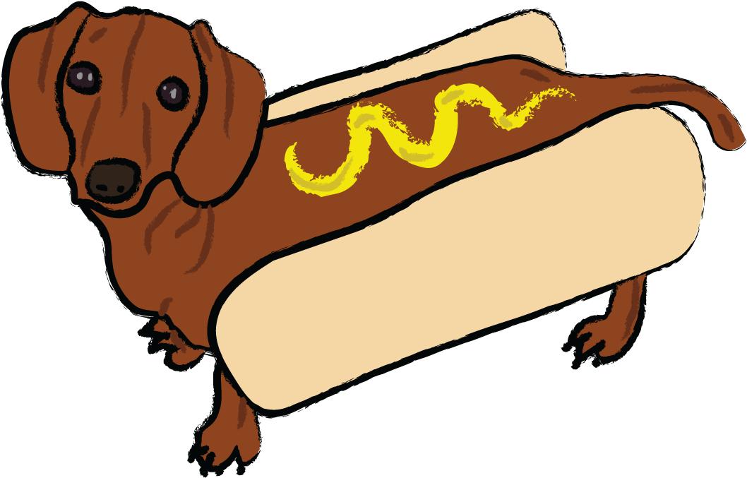 Hot Weiner Dog - Dachshund (1132x745)