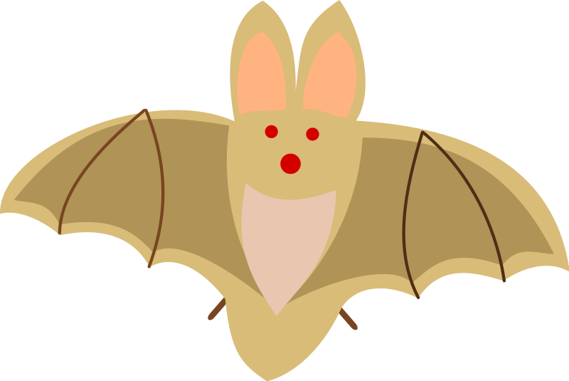 Free Clipart Bat - Cute Bat Clip Art (800x535)