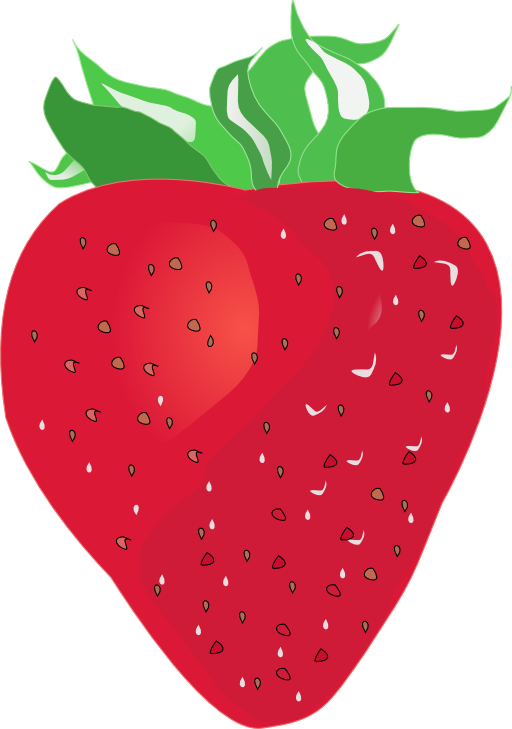 Strawberries Cliparts 12, Buy Clip Art - Custom Strawberry Shower Curtain (512x729)