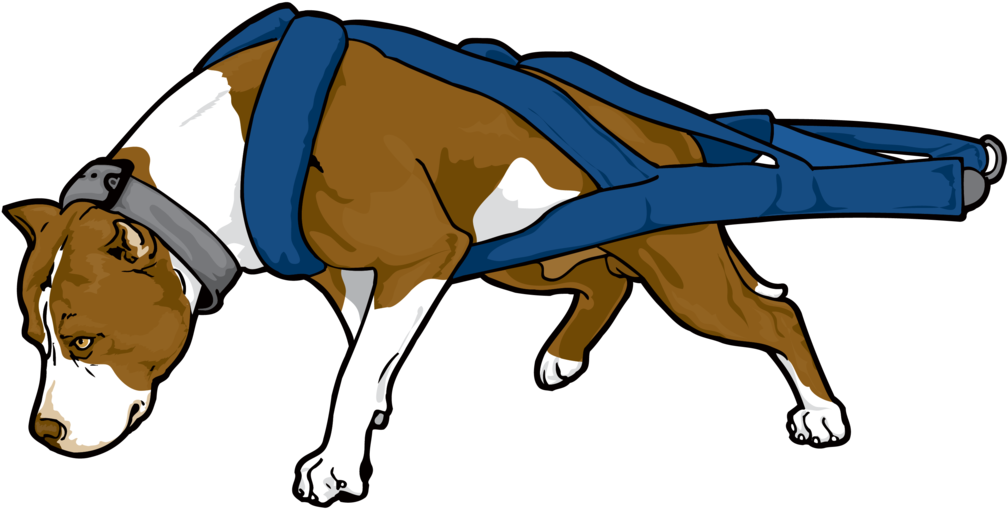 Pit Bull Awareness Clipart - Pitbull Weight Pulling Vector (1024x629)
