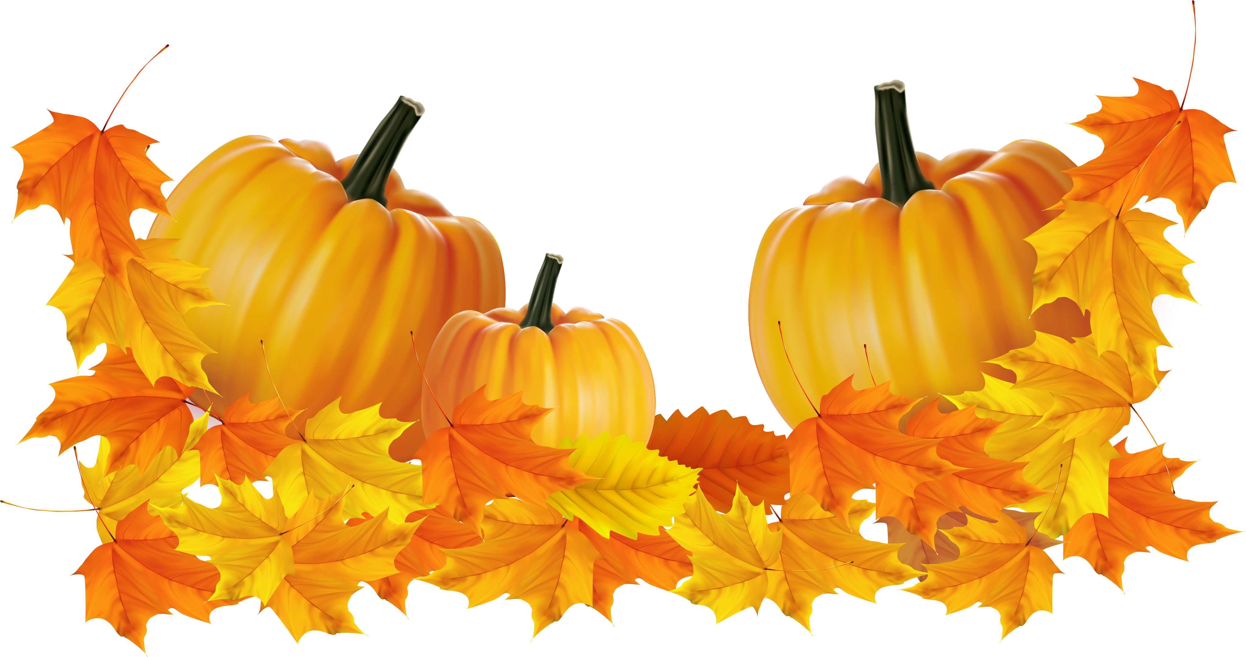 Free Candy Corn Pumpkin Clip Art - Dii Thanksgiving Kitchen Dish Towels Set Holiday Decoration (4169x2189)