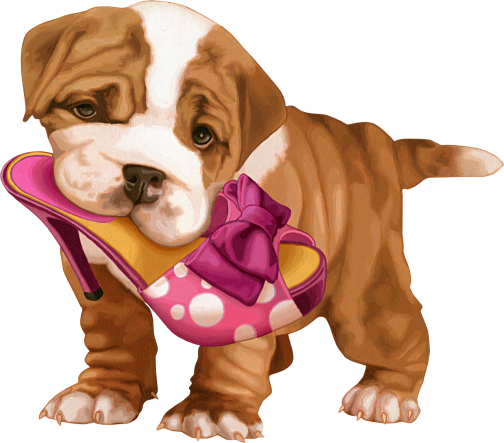 Cachorro Mordendo Sapato - Desenho De Cachorro Mordendo Sapato (504x443)