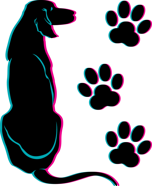 Paw Clipart Dog Spa - Transparent Puppy Paws (502x614)