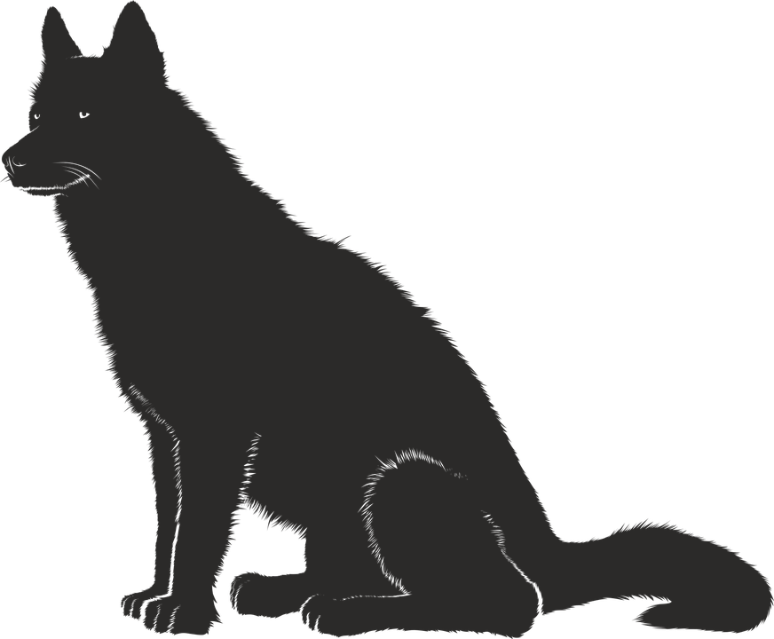 We Present To You A Selection Of Top Dog Black And - Have A Black Dog His Name (872x720)