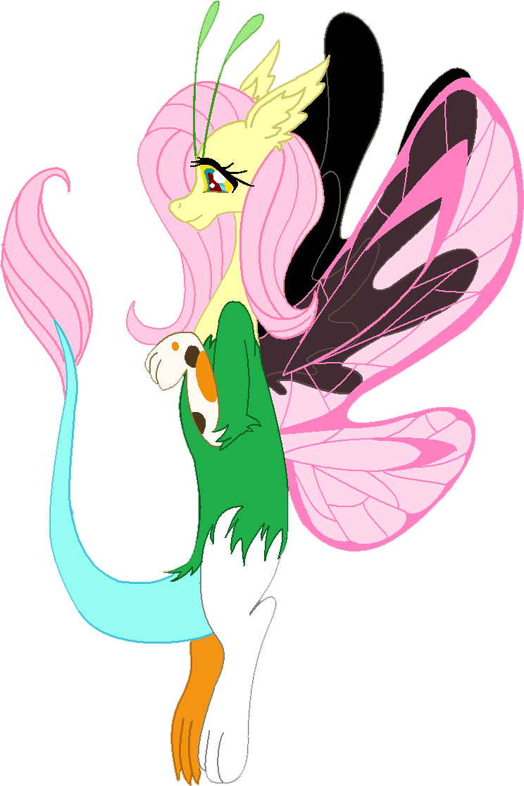 Draconequus Fluttershy By Cdla - Draconequus Fluttershy (744x1116)