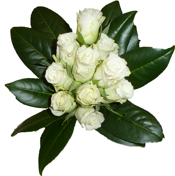 White Rose Png 8, - Nosegay (728x720)