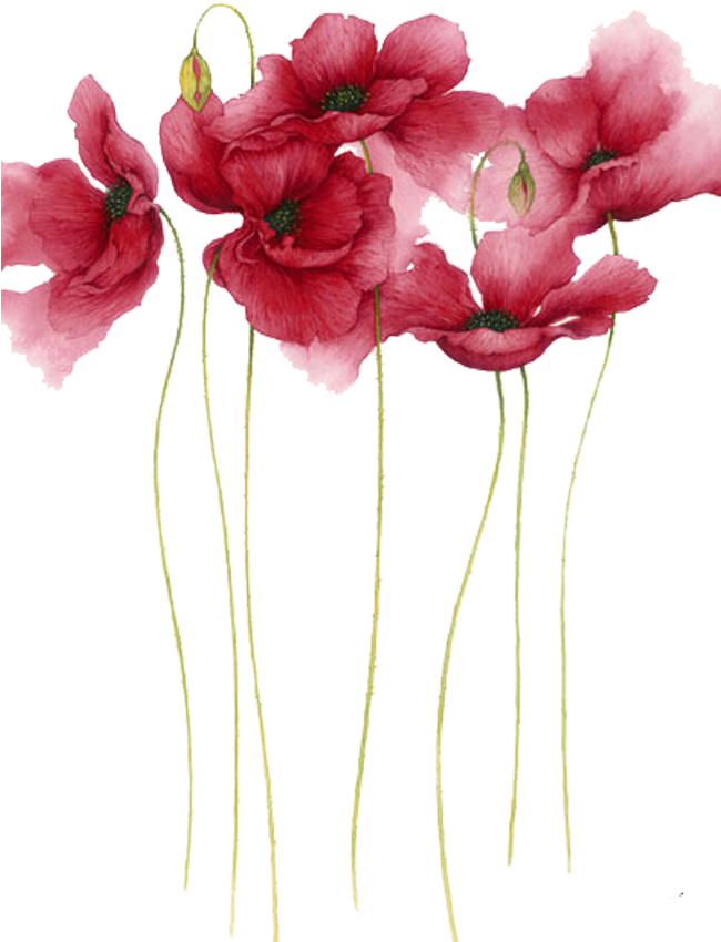 Watercolor Painting Flower Drawing Art - Watercolor Flowers (1000x1000)