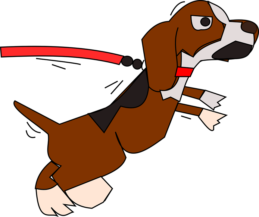 Disadvantages Of Retractable Dog Leashes - Cartoon Dog On Leash No Background (860x720)