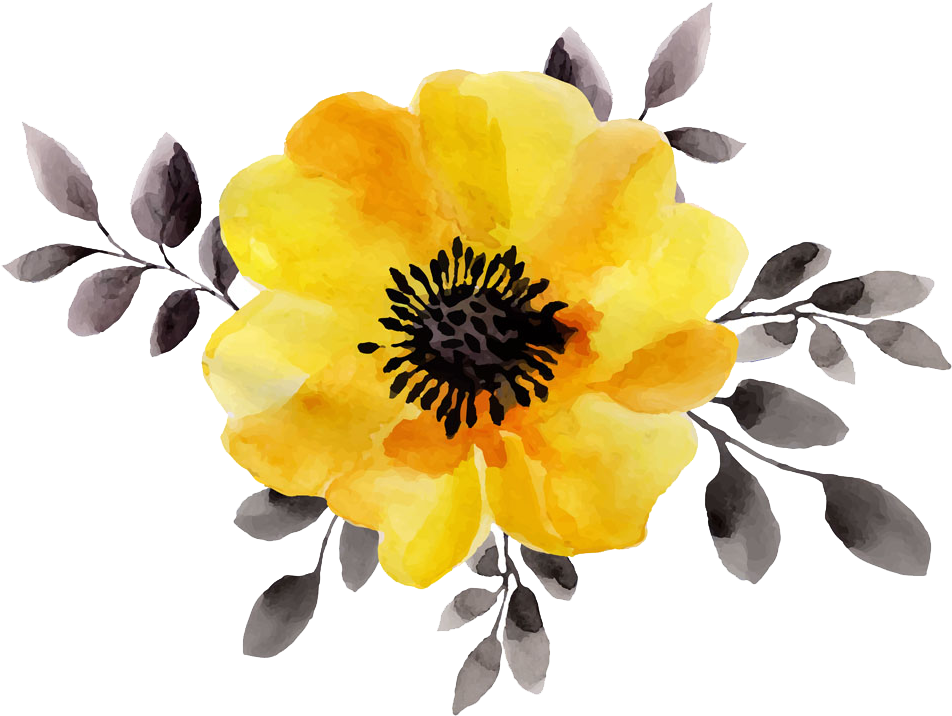 Flower Yellow Watercolor Painting Stock Illustration - Yellow Watercolor Flower Png (1024x1024)