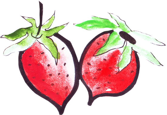 Hand Drawing Of Fruits, Berries And Plants - Illustration (550x378)