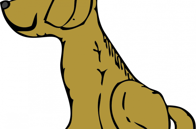 Best Puppies Images Free Download - Side View Of A Dog (640x420)