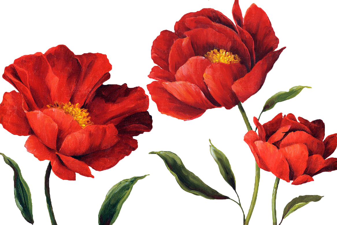 Yüksek Çözünürlüklü Dekupaj Resimleri,sanatsal Dekupaj - Transparent Red Flowers Watercolor (1166x780)