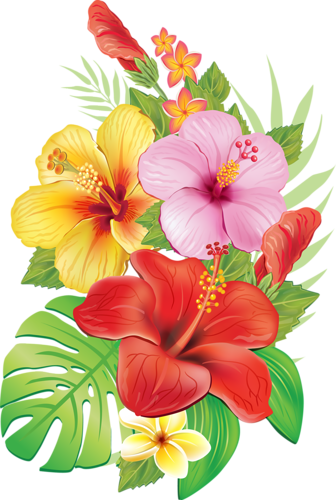 0 A04cd 3e4ec0ed Orig - Tropical Flowers Drawing (336x500)
