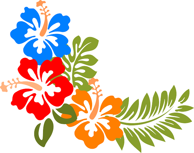 Hibiscus Clipart (640x504)