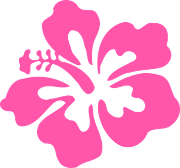 Hawaiian Flowers Images - Hibiscus Png (364x340)