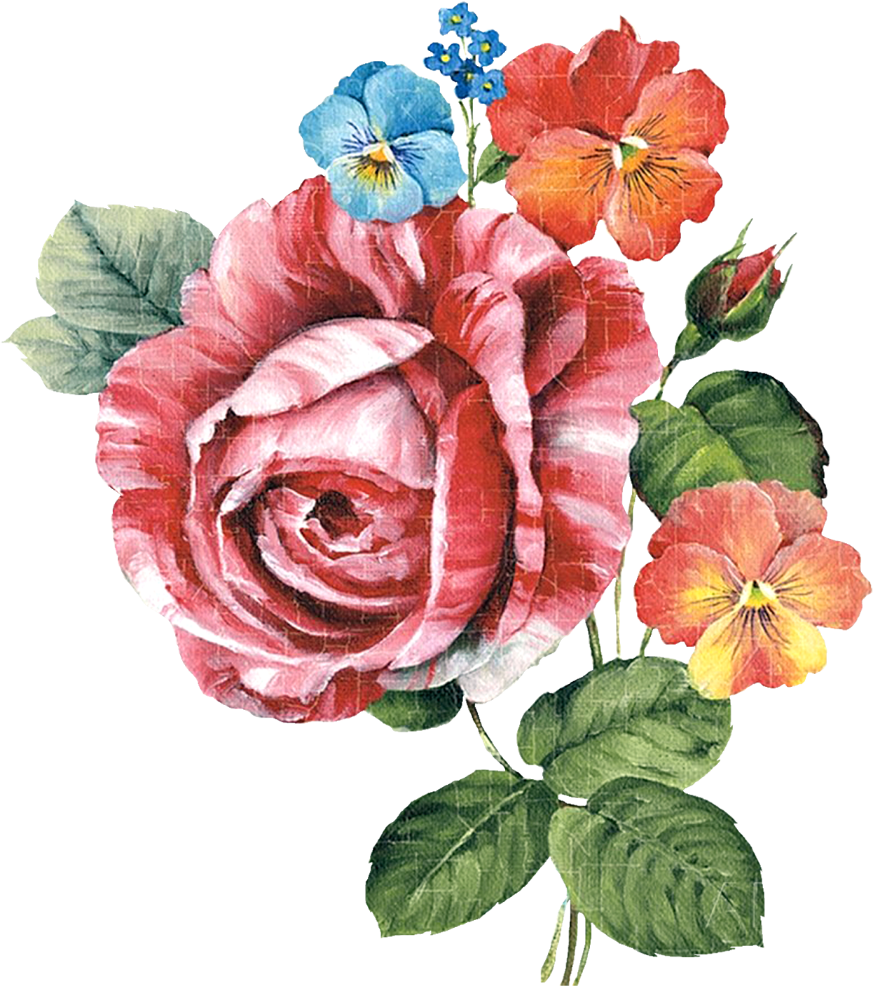 Çiçekler Png Clipart Lisa Audit - Flower Images With White Background (1370x1600)
